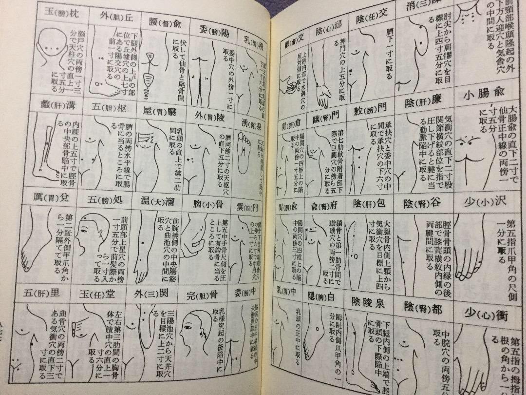 東医宝鑑（とういほうかん、東醫寶鑑）ホジュン許 浚 著 日本語版 昭和