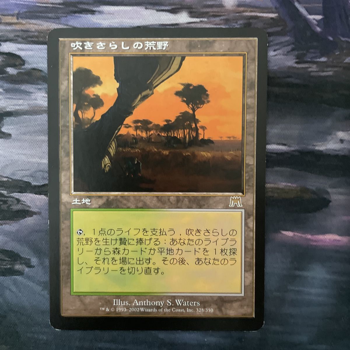 吹きさらしの荒野 1枚 吹きさらしの荒野 MTG 公式通販 たかさん